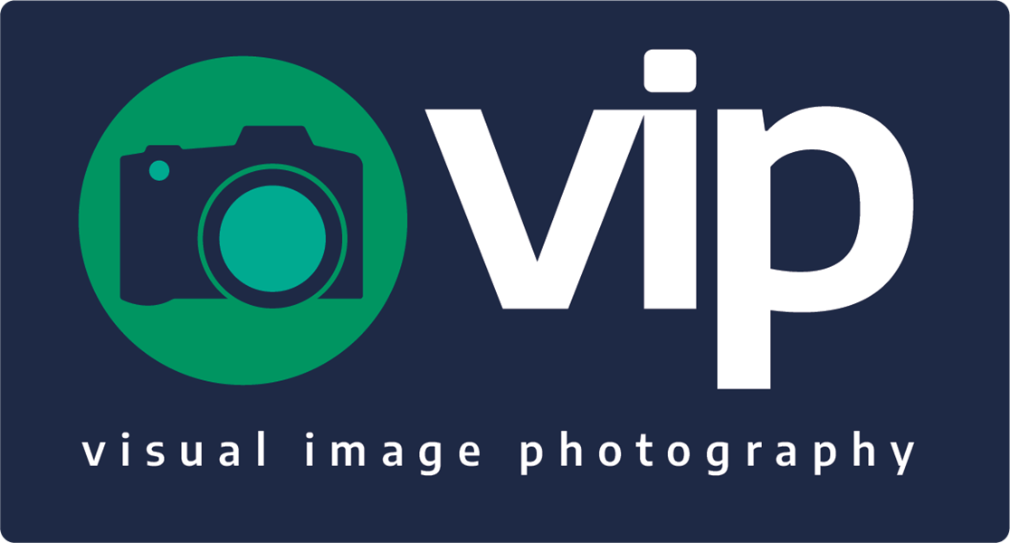VIP_Logo