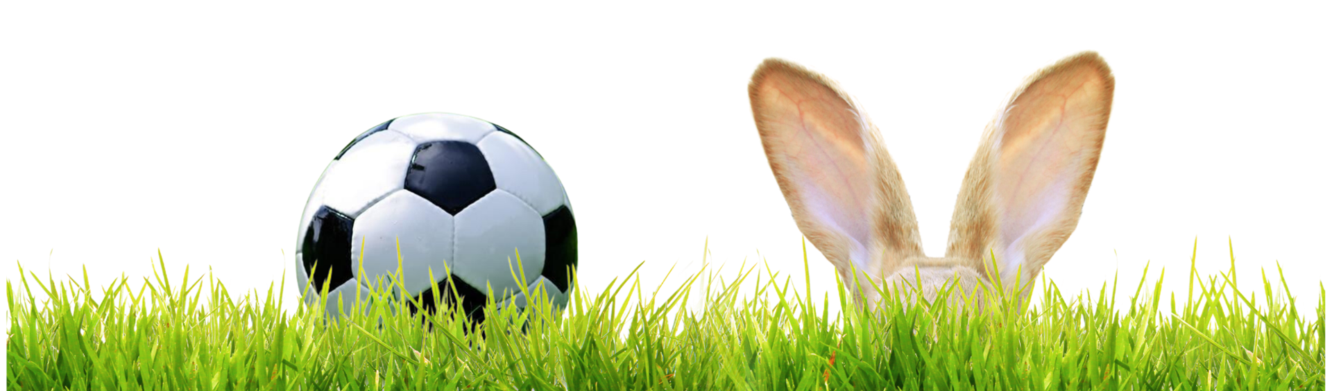 Have a Safe Easter Weekend